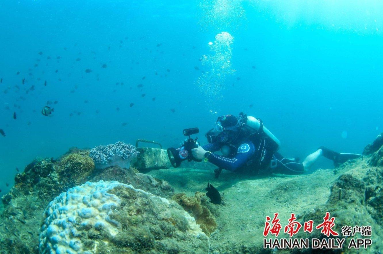 3D双翼飞行